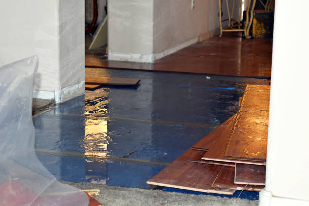 Professional Basement Water Removal technician working in Driscoll, TX
